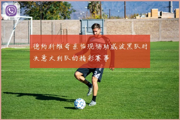 德约科维奇亲临现场助威波黑队对决意大利队的精彩赛事
